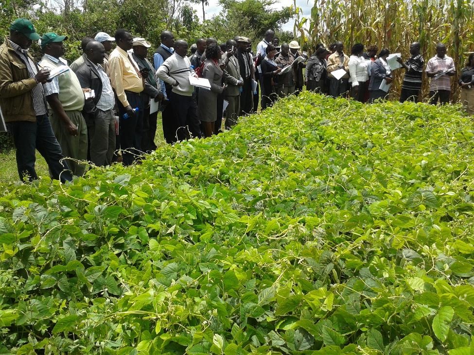 Conservation Farming Technology for Improved Agricultural Productivity and Sustainable Land Management